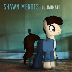 Size: 1500x1500 | Tagged: safe, artist:aldobronyjdc, earth pony, pony, album, album cover, clothes, music, ponified, ponified album cover, shawn mendes, solo