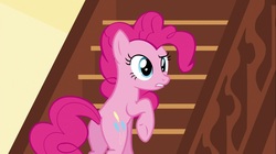 Size: 1100x618 | Tagged: safe, screencap, pinkie pie, earth pony, pony, g4, the one where pinkie pie knows, butt, female, mare, plot, raised hoof, solo