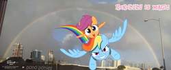 Size: 3199x1310 | Tagged: safe, artist:newportmuse, rainbow dash, scootaloo, g4, facebook header, hawaii, haywaii, honolulu, irl, photo, ponies in real life, rainbow, scootaloo can fly, scootalove, teary eyes, vector