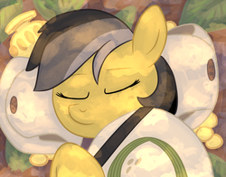 Size: 1100x862 | Tagged: safe, artist:1trick, daring do, g4, 1trickpone's sleeping ponies, eyes closed, female, hat, pillow, sleeping, solo