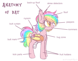 Size: 2506x1955 | Tagged: safe, artist:hawthornss, oc, oc only, oc:paper stars, bat pony, pony, amputee, anatomy, anatomy chart, anatomy guide, chart, cute little fangs, fangs, female, mare, nyoom, simple background, skree, smiling, solo, text, white background