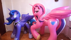 Size: 5632x3168 | Tagged: safe, princess cadance, princess luna, inflatable pony, g4, absurd resolution, bedroom eyes, bootleg, eyeshadow, hongyi, horseshoes, indoors, inflatable, inflatable alicorn, irl, jewelry, looking back, makeup, necklace, opaque inflatable, parquet, photo, standing