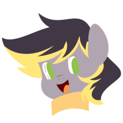 Size: 1604x1599 | Tagged: safe, oc, oc only, oc:aero, bust, clothes, colt, male, offspring, parent:derpy hooves, parent:oc:warden, parents:canon x oc, parents:warderp, portrait, scarf, simple background, solo, transparent background, typography, vector