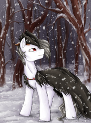 Size: 406x548 | Tagged: safe, artist:emi~ket, oc, oc only, clothes, forest, snow, snowfall, solo, winter