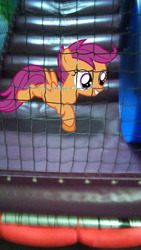 Size: 1440x2560 | Tagged: safe, artist:90sigma, artist:tokkazutara1164, scootaloo, pegasus, pony, g4, female, filly, irl, net, photo, playing, ponies in real life, smiling, solo, tunnel, vector