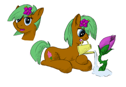Size: 1650x1150 | Tagged: safe, artist:frecklesfanatic, oc, oc only, unnamed oc, flower, flower in hair, solo, watering, watering can