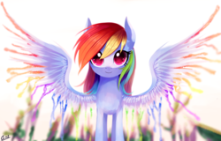 Size: 2502x1599 | Tagged: dead source, safe, artist:gianghanz, rainbow dash, g4, female, looking at you, smiling, solo, spread wings