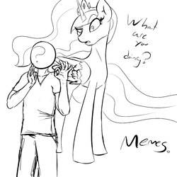Size: 1000x1000 | Tagged: safe, artist:vadkram20xd6, princess celestia, oc, oc:anon, alicorn, pony, g4, black and white, clothes, dialogue, grayscale, meme, missing accessory, monochrome, pacha, pants, shirt, simple background, the emperor's new groove, when x just right, white background