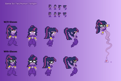 Size: 818x551 | Tagged: safe, artist:verve, sci-twi, twilight sparkle, genie, ain't never had friends like us, equestria girls, g4, bottle, erlenmeyer flask, glasses, jewelry, pixel art, reference sheet, shantae