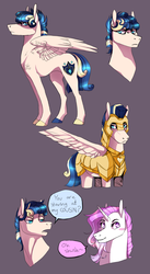 Size: 911x1666 | Tagged: safe, artist:zetapold, oc, oc only, oc:staccato, oc:staccato dell'amore, pegasus, pony, curly hair, male, offspring, parent:princess cadance, parent:shining armor, parents:shiningcadance, reference sheet, stallion, standing
