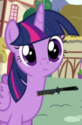 Size: 395x603 | Tagged: safe, edit, edited screencap, screencap, twilight sparkle, alicorn, pony, g4, abuse, confused, counter-strike, female, frown, grimderp, head tilt, immortality is awesome, knife, looking at you, mare, solo, stabbing, twilight sparkle (alicorn), twilybuse, wat
