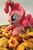 Size: 3264x4912 | Tagged: safe, artist:fafatacle, pinkie pie, g4, absurd resolution, baking, cookie, food, irl, mouth hold, photo, plushie, solo, toy, whisk