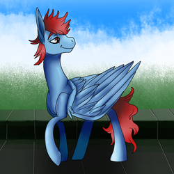 Size: 1024x1024 | Tagged: safe, artist:brainiac, oc, oc only, pegasus, pony, bust, full body, large wings, male, portrait, solo, stallion, wings
