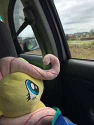 Size: 720x960 | Tagged: safe, artist:bradleysigar, photographer:bradleysigar, fluttershy, g4, car, irl, malaysia, photo, plushie, solo