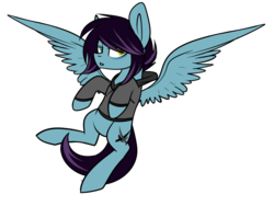 Size: 1024x771 | Tagged: safe, artist:despotshy, oc, oc only, oc:despot, pegasus, pony, clothes, hoodie, male, simple background, solo, spread wings, stallion, transparent background, wings