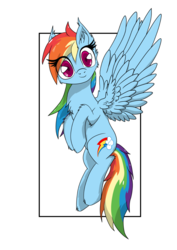 Size: 800x1131 | Tagged: safe, artist:bigshot232, rainbow dash, g4, female, flying, solo