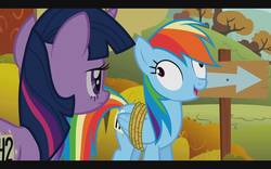 Size: 1280x800 | Tagged: safe, screencap, rainbow dash, twilight sparkle, pony, fall weather friends, g4, bound wings, derp