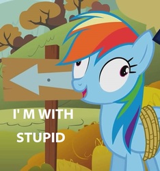 Size: 668x714 | Tagged: safe, edit, edited screencap, screencap, rainbow dash, fall weather friends, g4, bound wings, caption, cropped, female, meme, solo