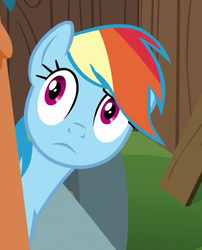 Size: 433x537 | Tagged: safe, rainbow dash, g4, the cart before the ponies, cute, female, looking away, solo
