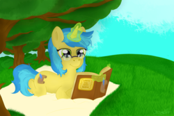 Size: 1800x1200 | Tagged: safe, artist:armageddin, oc, oc only, oc:sun scroll, book, glasses, grass, reading, smiling, solo, tree