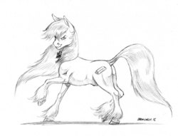 Size: 1400x1069 | Tagged: safe, artist:baron engel, oc, oc only, pony, dock, fabio lanzoni, glare, grayscale, looking at you, monochrome, pencil drawing, ponified, raised hoof, raised leg, simple background, sketch, smirk, solo, traditional art, unshorn fetlocks, white background, windswept mane