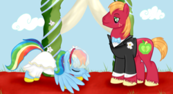 Size: 665x365 | Tagged: safe, artist:karmadash, big macintosh, rainbow dash, earth pony, pony, g4, bowing, clothes, crack shipping, dress, male, marriage, ship:rainbowmac, shipping, stallion, straight, suit, wedding, wedding dress, wedding veil