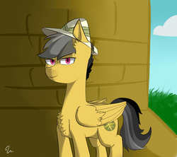 Size: 1800x1600 | Tagged: safe, artist:passigcamel, daring do, pony, g4, rule 63, solo
