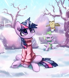 Size: 4617x5211 | Tagged: safe, artist:inowiseei, part of a set, owlowiscious, spike, twilight sparkle, dragon, pony, unicorn, g4, absurd resolution, clothes, female, male, mare, scheming, smiling, snow, snowball, snowfall, sweater, winter