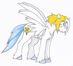 Size: 3650x3280 | Tagged: safe, artist:breadworth, oc, oc only, pegasus, pony, high res, male, solo, stallion, traditional art