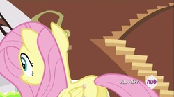 Size: 1100x618 | Tagged: safe, screencap, fluttershy, pegasus, pony, g4, it ain't easy being breezies, my little pony: friendship is magic, butt, female, flutterbutt, hub logo, mare, plot, solo