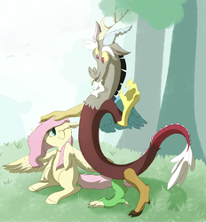 Size: 1671x1800 | Tagged: safe, artist:archego-art, discord, fluttershy, g4, cute, discute, duo, looking at each other, male, pat, shyabetes, sitting, spread wings