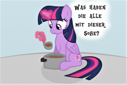 Size: 1024x683 | Tagged: safe, artist:mimicproductions, twilight sparkle, alicorn, pony, g4, female, food, german, glowing horn, horn, ladle, levitation, looking down, magic, pot, sauce, sitting, solo, telekinesis, thought bubble, translated in the comments, twilight sparkle (alicorn)