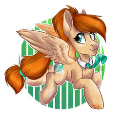Size: 1024x1024 | Tagged: safe, artist:hollybright, oc, oc only, pegasus, pony, solo