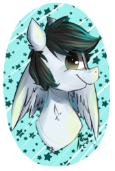 Size: 610x906 | Tagged: safe, artist:tamyarts, oc, oc only, pegasus, pony, bust, portrait, solo