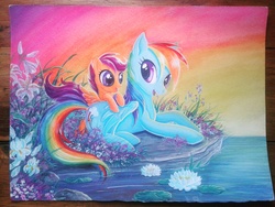 Size: 2576x1932 | Tagged: safe, artist:rainwaterfallszone, rainbow dash, scootaloo, pegasus, pony, g4, cute, cutealoo, female, filly, flower, foal, mare, open mouth, prone, scootalove, spread wings, traditional art, water, watercolor painting, waterlily, wings