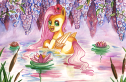 Size: 1800x1183 | Tagged: safe, artist:sentabry, fluttershy, g4, female, flower, flower in hair, looking back, open mouth, pond, smiling, solo, traditional art, water, waterlily