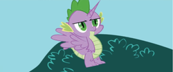 Size: 1363x569 | Tagged: safe, artist:zxinsanity, spike, alicorn, pony, g4, alicorn spike, alicornified, alidragon, alternate universe, equestria girls: the parody series, male, race swap, solo, unamused, wat