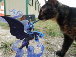 Size: 1600x1200 | Tagged: safe, photographer:we are borg, nightmare moon, cat, g4, fan series, guardians of harmony, irl, irl cat, misadventures of the guardians, photo, toy