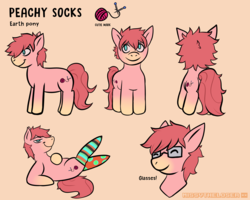 Size: 5000x4000 | Tagged: safe, artist:missvtheloser, oc, oc only, oc:peachy socks, earth pony, pony, clothes, socks, solo, striped socks