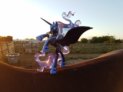 Size: 1600x1200 | Tagged: safe, photographer:we are borg, nightmare moon, horse, g4, fan series, guardians of harmony, horse-pony interaction, irl, irl horse, misadventures of the guardians, photo, toy