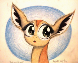 Size: 1300x1050 | Tagged: safe, artist:thefriendlyelephant, oc, oc only, oc:nuk, antelope, gerenuk, animal in mlp form, big ears, big eyes, cute, fluffy, solo, traditional art
