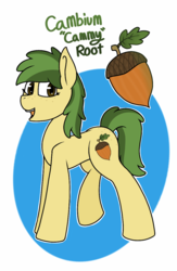 Size: 768x1178 | Tagged: safe, artist:koonzypony, oc, oc only, oc:cambium root, earth pony, pony, acorn, butt freckles, cutie mark, farmer, freckles, reference, simple background, solo, white background