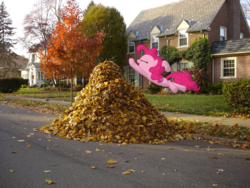 Size: 1280x960 | Tagged: safe, artist:harvydraws, pinkie pie, earth pony, pony, g4, autumn, autumn leaves, bush, female, grass, house, irl, jumping, leaf, leaf pile, leaves, mare, photo, photoshop, ponies in real life, solo, street, tree, vector
