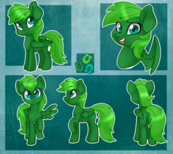 Size: 948x842 | Tagged: safe, artist:annakitsun3, oc, oc only, oc:green bean, pegasus, pony, cute, green mane, reference sheet, solo