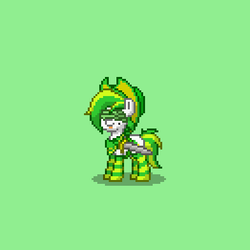 Size: 393x393 | Tagged: safe, oc, oc only, oc:food, pony, pony town, clothes, hat, screenshots, socks, solo, striped socks