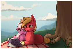 Size: 1800x1200 | Tagged: safe, artist:captainpudgemuffin, big macintosh, cheerilee, earth pony, pony, g4, blanket, book, captainpudgemuffin is trying to murder us, cheeribetes, cloud, commission, cute, female, illiteracy, lidded eyes, macabetes, male, mare, open mouth, ponyloaf, prone, reading, ship:cheerimac, shipping, sky, smiling, snuggling, stallion, straight, tree, younger
