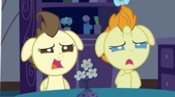 Size: 11224x6210 | Tagged: safe, screencap, pound cake, pumpkin cake, pony, baby cakes, g4, absurd resolution, cake twins, do not want, floppy ears, reaction image, shocked, surprised, wat