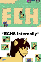 Size: 1024x1528 | Tagged: safe, artist:thelightning1, oc, oc only, pony, pony town, ech, jontron, ms paint, screenshots