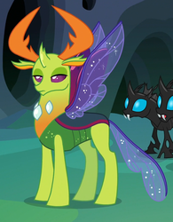 Size: 813x1041 | Tagged: safe, screencap, thorax, changedling, changeling, g4, to where and back again, cropped, king thorax, solo focus, unamused