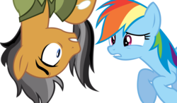 Size: 14727x8578 | Tagged: safe, artist:cyanlightning, quibble pants, rainbow dash, g4, stranger than fan fiction, .svg available, absurd resolution, looking at each other, simple background, transparent background, upside down, vector